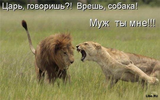 1255672688_1255610057-fotoprikoly-s-zhivotnymi-47